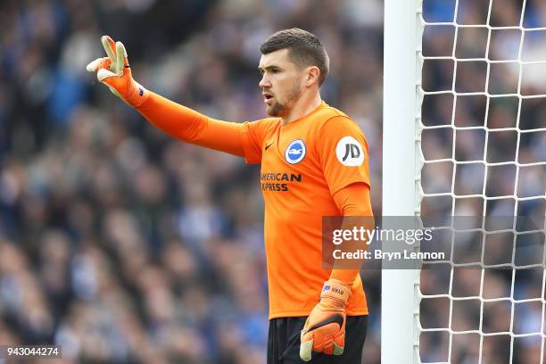 Goalkeeper Mathew Ryan of Brighton & Hove Albion instructs his team during the Premier League match between Brighton and Hove Albion and Huddersfield...