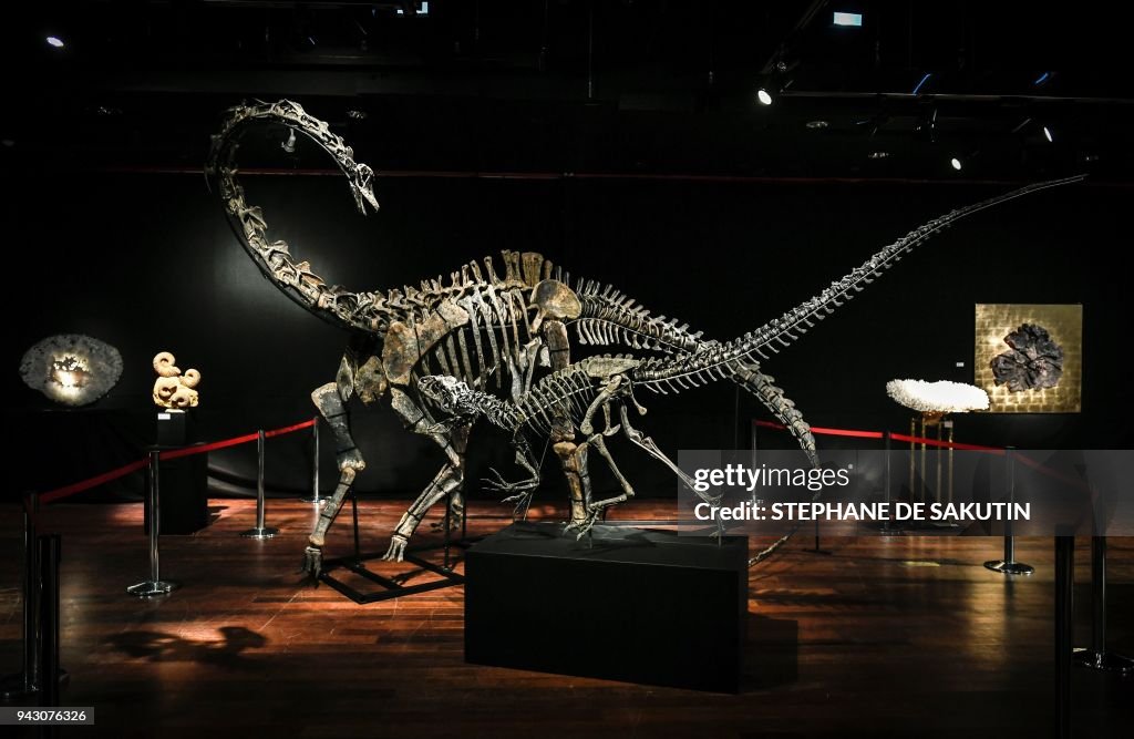 TOPSHOT-FRANCE-SCIENCE-DINOSAUR-JURASSIC-SKELETON-AUCTION