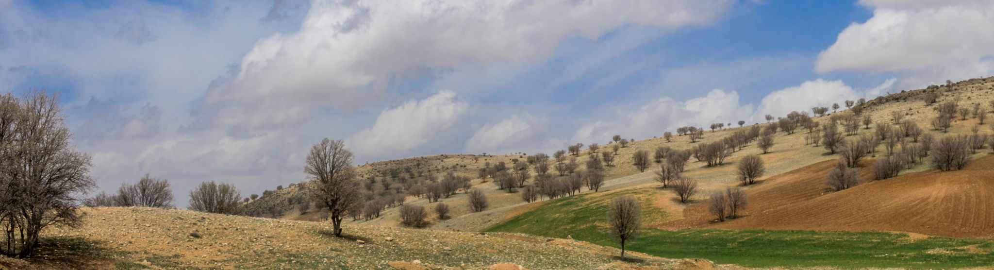 qathet landscape
