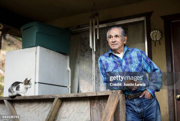 senior yurok man leans on front porch with cat, waiting for fishing friends to arrive - aboriginal elders stock pictures, royalty-free photos & images