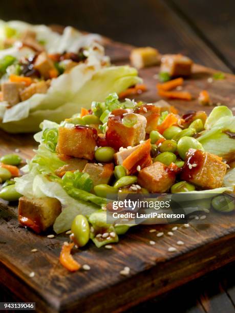 asian tofu lettuce wrap with hoison sauce and edamame - hoisin sauce stock pictures, royalty-free photos & images