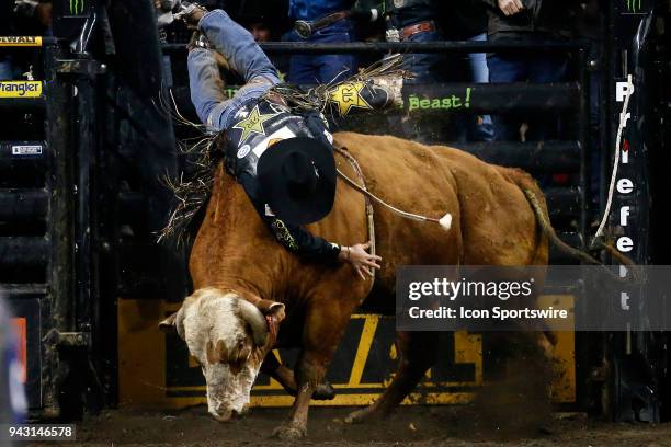 Chaparedas Bull Riding Chaparral High Photos and Premium High Res Pictures - Getty Images