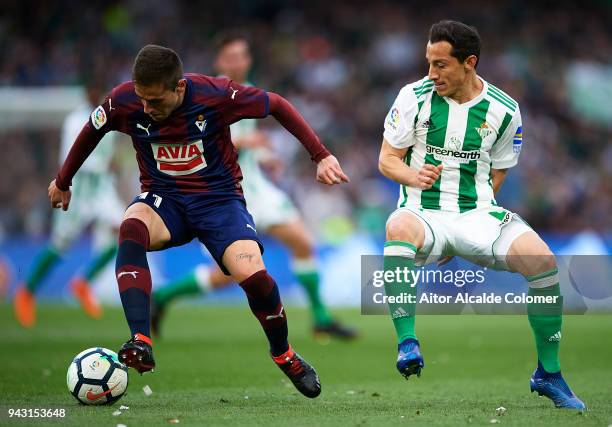 Ruben Pena of SD Eibar being followed by Andres Guardado of Real Betis Balompie during the La Liga match between Real Betis and Eibar at Estadio...