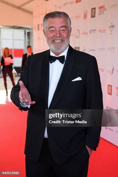 Harry Wijnvoord attends the 'Goldene Sonne 2018' Award by Sonnenklar.TV on April 7, 2018 in Kalkar, Germany.