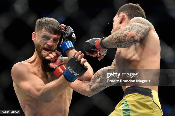 Renato Moicano of Brazil punches Calvin Kattar in their featherweight bout during the UFC 223 event inside Barclays Center on April 7, 2018 in...