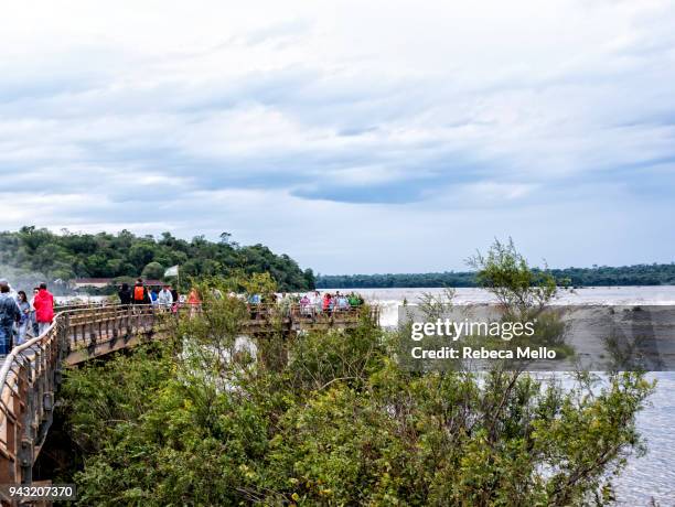 the  large footbridge on iguazu river - argentina devils throat stockfoto's en -beelden