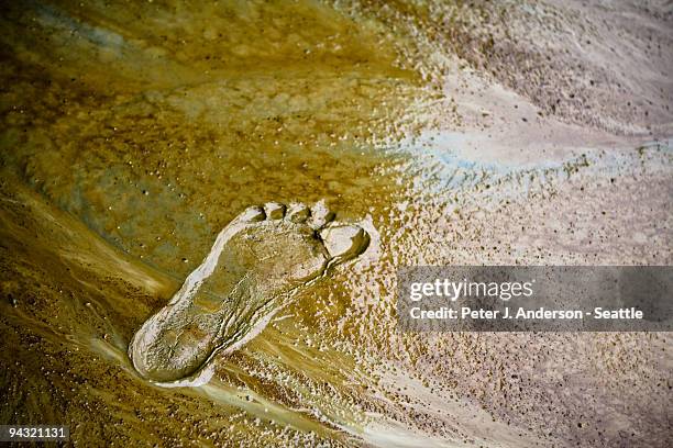 footprint glistens in mud after rain - mud footprint stock pictures, royalty-free photos & images