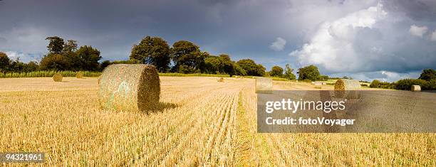 golden hay bales, stormy skies - gloucestershire autumn stock pictures, royalty-free photos & images