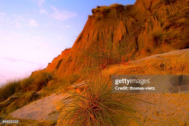 redcliff - fountain grass stock pictures, royalty-free photos & images