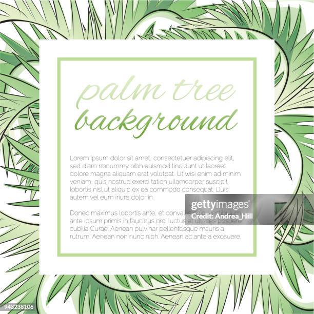 ilustrações de stock, clip art, desenhos animados e ícones de tropical design template or border with palm tre leaves - palmeto