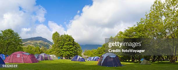 green campground - camping stock pictures, royalty-free photos & images