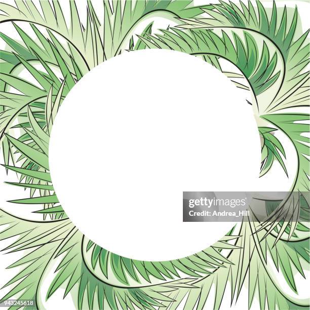 tropical design template or border with palm tre leaves - palmetto tree stock illustrations