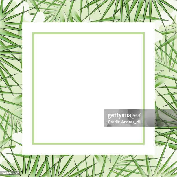 tropical design template or border with palm tre leaves - palmetto tree stock illustrations