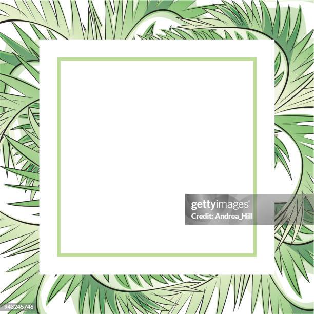 tropischen design-vorlage oder grenze mit palmblättern tre - chinesische hanfpalme stock-grafiken, -clipart, -cartoons und -symbole