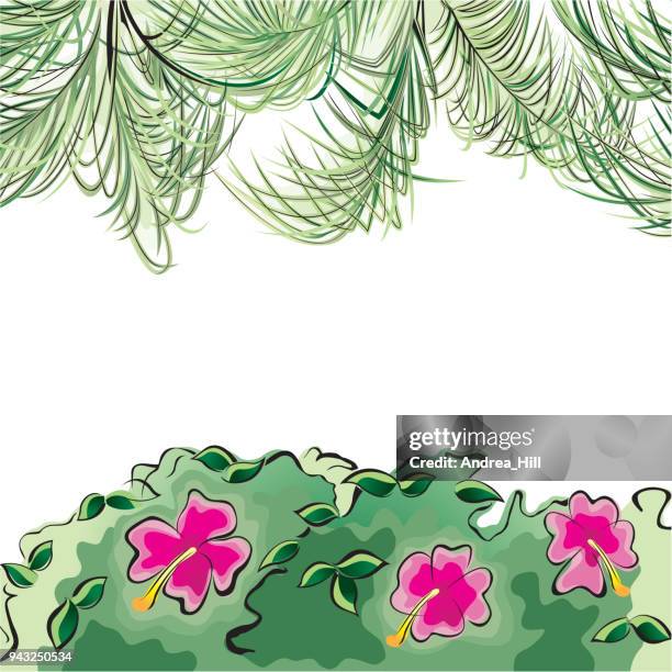 tropischen design-vorlage oder grenze mit palmblättern und hibiskusblüten - chinesische hanfpalme stock-grafiken, -clipart, -cartoons und -symbole