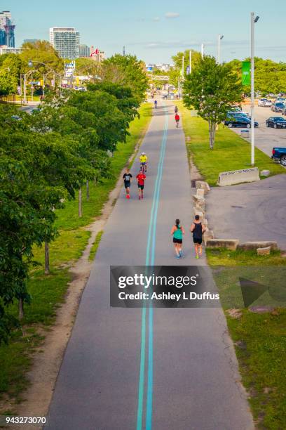 martin goodman trail - running toronto stock pictures, royalty-free photos & images