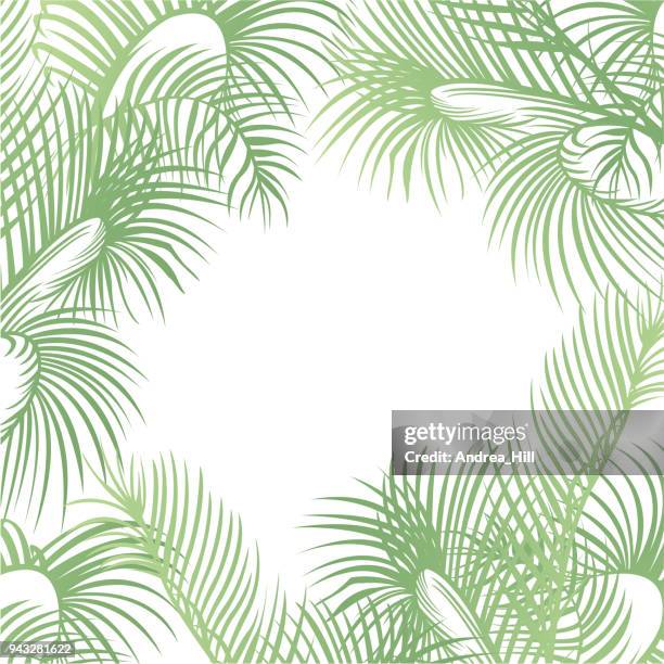 tropical design template or border with palm leaves - palm tree border stock illustrations