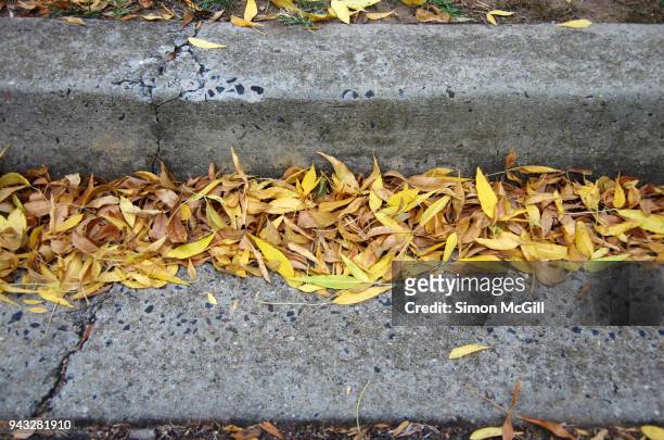 autumn leaves in a concrete roadside gutter - rinnstein stock-fotos und bilder