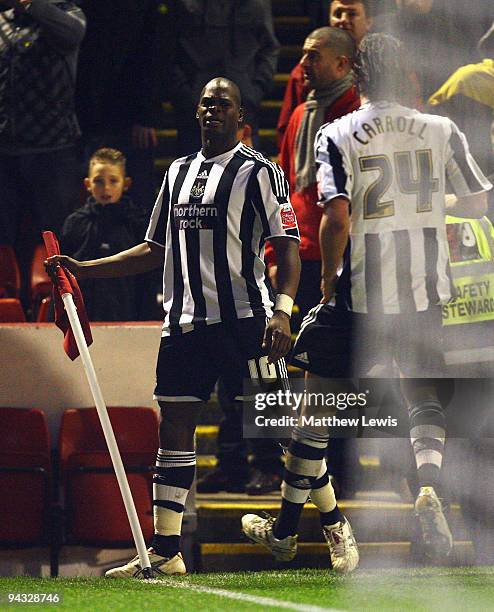 Marlon Harewood of Newcastle celebrates his goal during the Coca-Cola Championship match between Barnsley and Newcastle United at Oakwell on December...