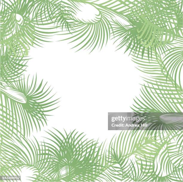tropischen design-vorlage oder grenze mit palmblättern - chinesische hanfpalme stock-grafiken, -clipart, -cartoons und -symbole
