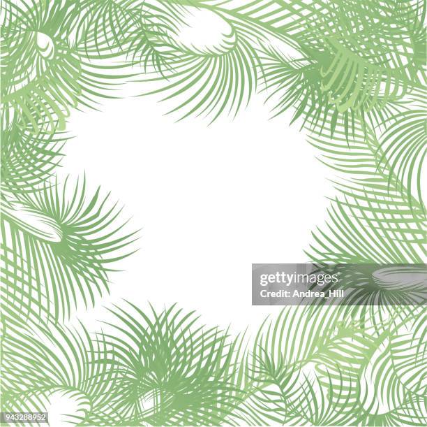 tropical design template or border with palm leaves - palm tree border stock illustrations