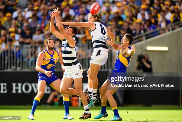 Jake Kolodjashnij of the Cats spoils in a marking contest during the 2018 AFL round 03 match between the West Coast Eagles and the Geelong Cats at...