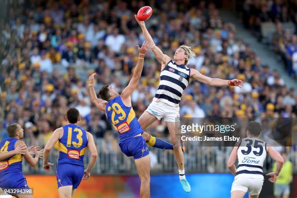 Scott Lycett of the Eagles competes with Mark Blicavs of the Cats during the round three AFL match between the West Coast Eagles and the Geelong Cats...