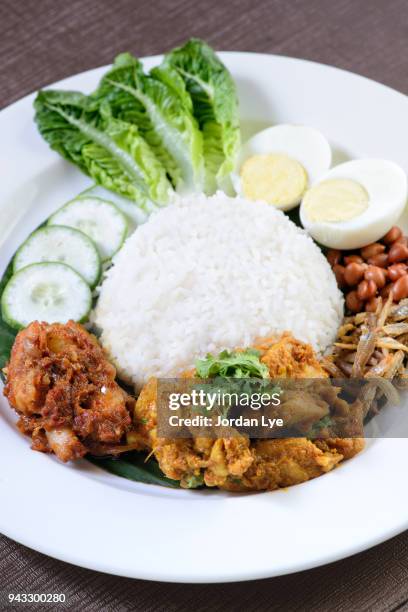 nasi curry kapitan - peranakan culture stock pictures, royalty-free photos & images