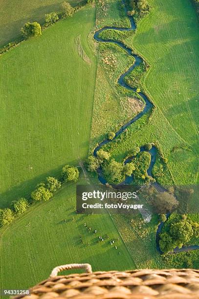 meandering river, cattle, balloon - oxbow bend stock pictures, royalty-free photos & images