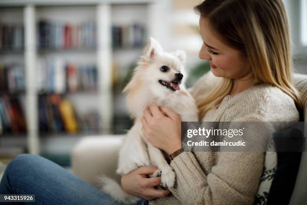 woman relaxing at home with her dog - mini stock pictures, royalty-free photos & images