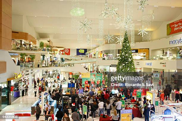 16 Westfield Culver City And The Special Olympics Host A Free Holiday  Concert Photos & High Res Pictures - Getty Images