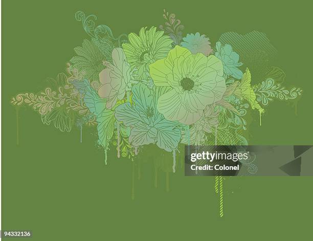 trippy hippy drippy - ranunculus stock illustrations
