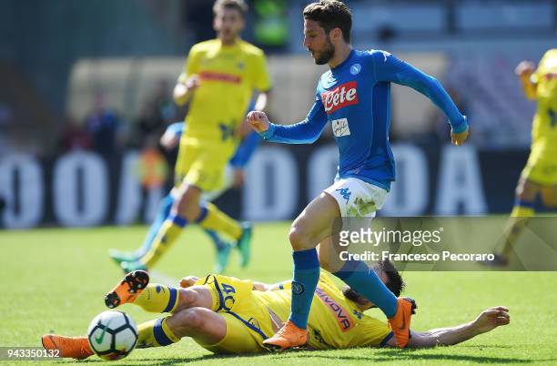 Dries Mertens of SSC Napoli vies with Nenad Tomovic of AC Chievo Verona during the serie A match between SSC Napoli and AC Chievo Verona at Stadio...