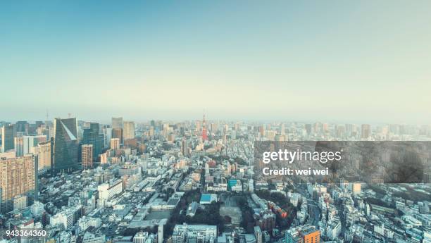 high res panoramic night view of tokyo - torre di tokyo foto e immagini stock