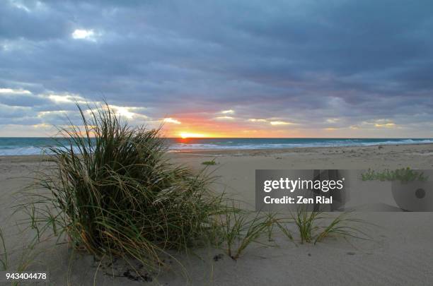 sunrise at a florida beach over atlantic ocean with grass in the foreground - fort pierce ストックフォトと画像