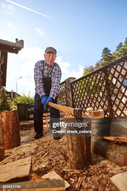 is working time - sawdust pile stock pictures, royalty-free photos & images