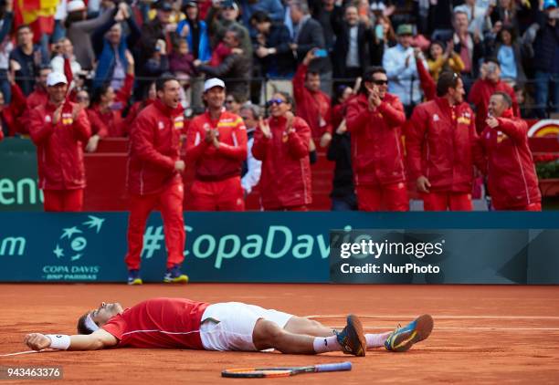 David Ferrer of Spain celebrates the victory in is match against Philipp Kohlschreiber of Germany during day three of the Davis Cup World Group...