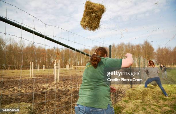 Fence of the Oostvaardersplassen nature reserve is seen repaired after it has been cut open by animal activists on April 08, 2018 in Lelystad,...