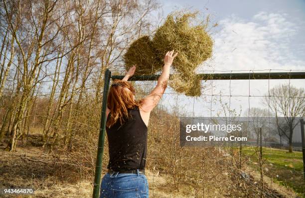 Throw Over Fence Photos and Premium High Res Pictures - Getty Images