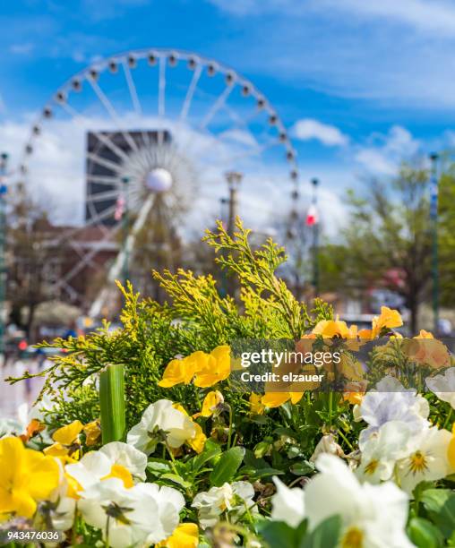 Atlanta During Spring Atlanta Landmarks Photos and Premium High Res Pictures - Getty Images