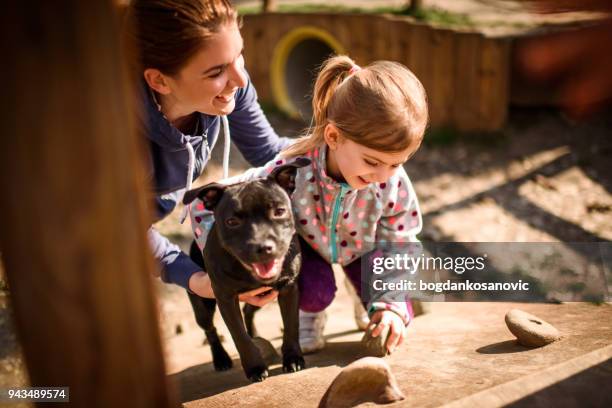 mother and daughter in the park - staffordshire bull terrier stock pictures, royalty-free photos & images