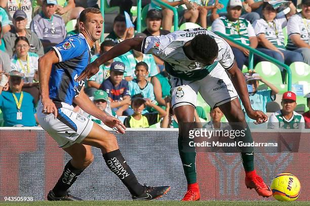 Jorge Djaniny Tavares of Santos fights for the ball with Diego Movaretti of Queretaro during the 14th round match between Santos Laguna and Querataro...