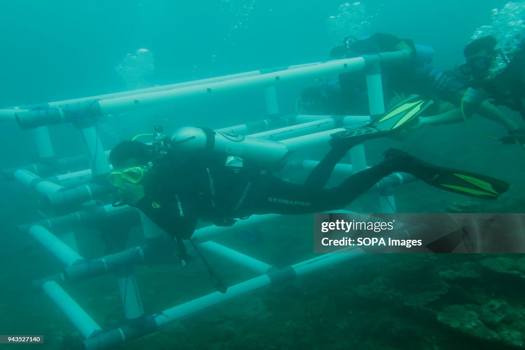 Divers seen placing the fish apartments to the seafloor.