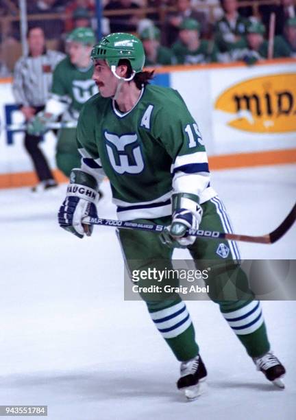 Dave Tippett of the Hartford Whalers skates against the Toronto Maple Leafs during NHL game action on February 15, 1989 at Maple Leaf Gardens in...