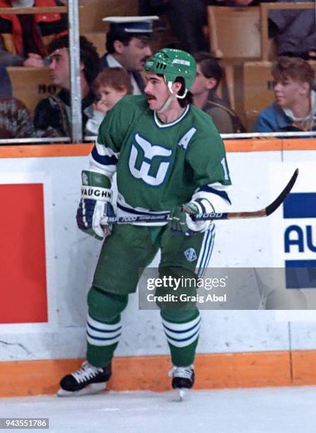 Dave Tippett of the Hartford Whalers skates against the Toronto Maple Leafs during NHL game action on February 15, 1989 at Maple Leaf Gardens in...