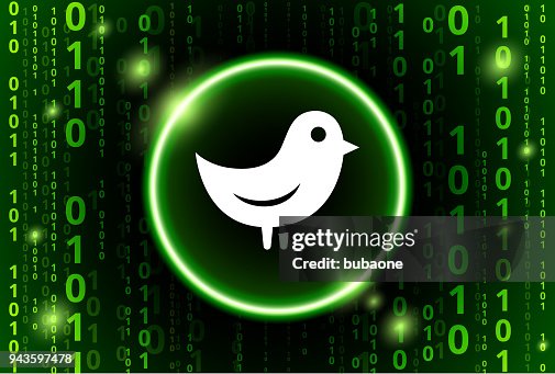 Bird Binary Code Vector Pattern Background Bird Binary Code Vector Pattern Background