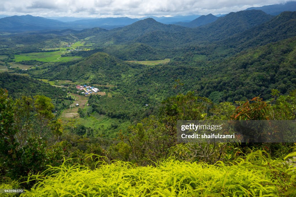 Bario is a community of 13 to 16 villages located on the Kelabit Highlands in Miri Division, Sarawak, Malaysia.