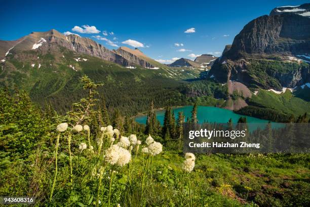 glacier national park, montana - grinnell lake stock pictures, royalty-free photos & images