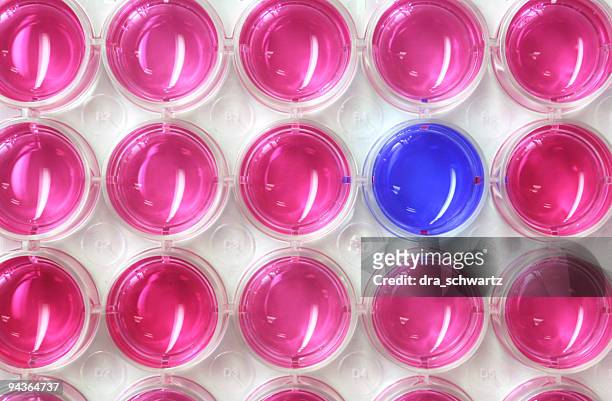 medical test - microplate stock pictures, royalty-free photos & images