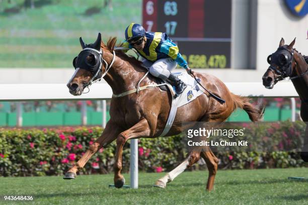Jockey Matthew Poon Ming-fai riding Jolly Gene wins Race 6 Dongcheng District Handicap at Sha Tin racecourse on April 8 , 2018 in Hong Kong, Hong...